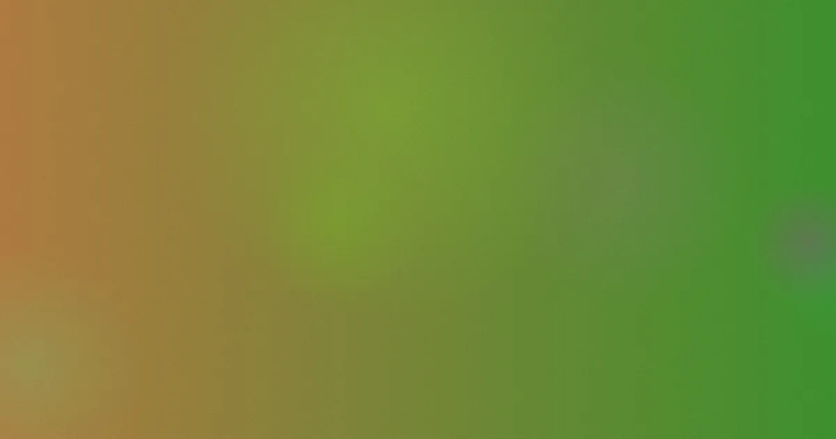 年轻的姐姐韩国避坑逻辑